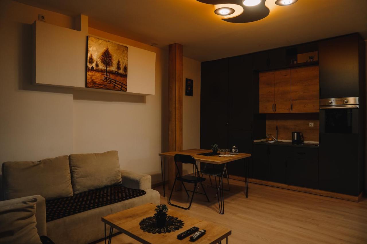Green Apartments Prishtina プリシュティナ エクステリア 写真